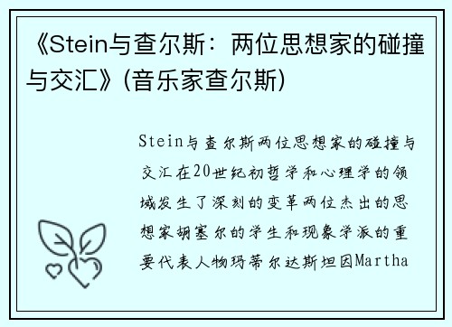 《Stein与查尔斯：两位思想家的碰撞与交汇》(音乐家查尔斯)
