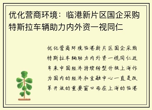 优化营商环境：临港新片区国企采购特斯拉车辆助力内外资一视同仁