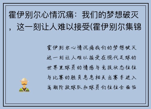 霍伊别尔心情沉痛：我们的梦想破灭，这一刻让人难以接受(霍伊别尔集锦)